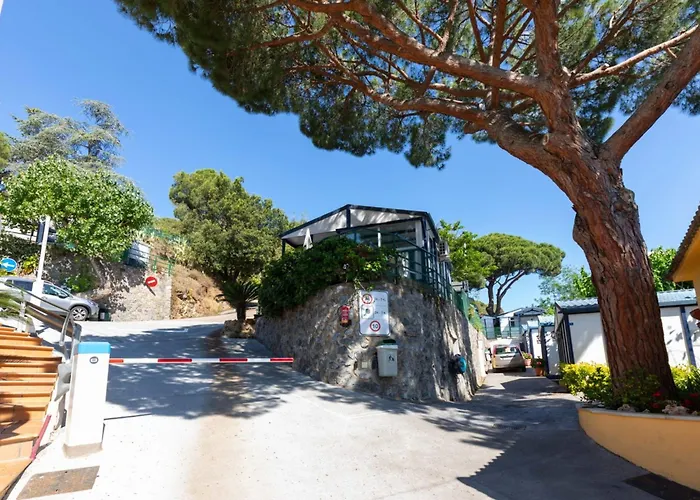 Kamp alanı El Far Calella